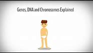 Genes, DNA and Chromosomes explained