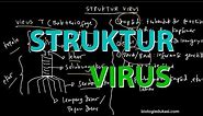 Struktur Tubuh Virus Bakteriofage