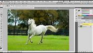 Adobe Photoshop CS5 - My Top 5 Favorite Features