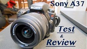 Sony Alpha A37: Review + Test