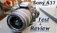 Sony Alpha A37: Review + Test