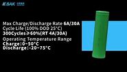 BAK Small Size Power Battery (High Power Cells): N18650COP