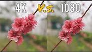 4K VS 1080 Side by Side Comparison Test (Sony ZVE10 + Sony 18-105 f4)