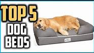 ✅ Top 5 Best Dog Beds in 2023 Reviews