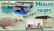 What cages are best for mice?