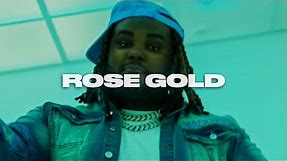 [FREE] Tee Grizzley x DamJonboi x Detroit Type Beat 2024 - ''ROSE GOLD''