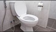 How To Fix a Leaking Toilet