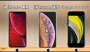 iPhone SE 2020 VS iPhone XS VS iPhone XR