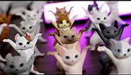 Cat Pen Holder Dances Ievan Polkka - Stop Motion Animation