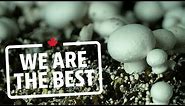 Take a tour of the largest organic mushroom farm in Canada | We Are The Best