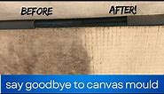 How to restore the value in your MOULDY camper trailer canvas.