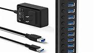 Powered USB Hub, Rosonway 10 Port USB 3.1/3.2 Gen 2 Hub 10Gbps with 36W (12V/3A) Power Adapter, Type A and Type C Cables, Aluminum USB C Hub Splitter for PC and Laptop (RSH-A10S)