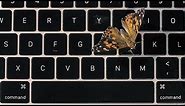 Apple's Faulty MacBook Butterfly Keyboard Explained... With Real Butterflies | WSJ