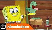 SpongeBob SquarePants | Free Amoeba Puppy | Nickelodeon UK
