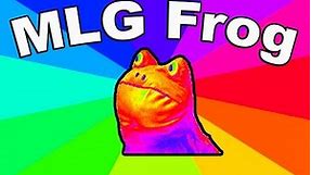 Where Is MLG Frog From? - Origin Of The Get Out Frog Meme