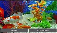 Aquarium Live Wallpaper for Android