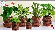 How to Make Beautiful Indoor Plants Decoration Ideas / Flower pot Decoration Ideas