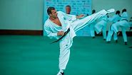 Karate Kumite Seminar By The World Champion Christophe Pinna Sensei (Day 02)