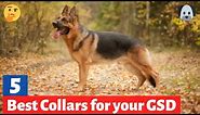 5 Best Collars for German Shepherds in 2021 | Which one is best for you?