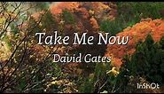 Take Me Now - David Gates (Lyrics)
