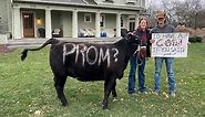 A moooving promposal: Iowa farm girl asks boyfriend to prom in udderly adorable way