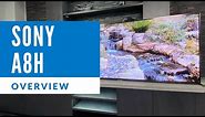 Sony A8H OLED Television Overview 2020