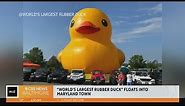 "Worlds Largest Rubber Duck" floats into Maryland