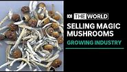 Inside Oregon's new magic mushroom industry | The World