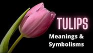Tulips - The Meaning and Symbolism Behind this Popular Flower