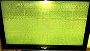 How to Repair Samsung LCD TV Power Cycling, Screeching High Pitched Noise Buzzing and Bad Picture