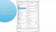 iPad Air: Turn on/off data services