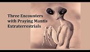 Three Encounters with Praying Mantis Extraterrestrials