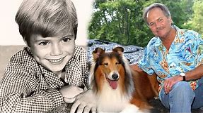 What Realy Happened to Jon Provost -Star in Lassie