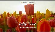 Tulip Time River Cruise with AmaWaterways