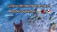 Lil bro think he the next Master Splinter ☠️🐀🥷