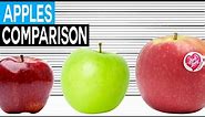Fruit Size Comparison | Apples