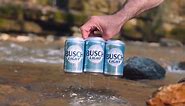 Busch Light Lager Domestic Beer 30 Pack 12 fl oz Aluminum Cans 4.1% ABV