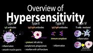 Hypersensitivity, Overview of the 4 Types, Animation.