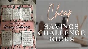 Less Than $10.00 Cheap Amazon Savings Challenge Books | Low Income |2024 Savings Challenges #savings