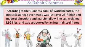 Easter Bunny And Rabbit Costumes