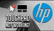 HP Touchpad Not Working in Windows 10/8/7 [2024 Tutorial]