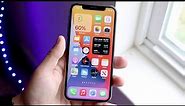 iPhone X In Late 2020! (Still Worth It?) (Review)