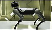 Cutest Robot Dog Better Than Spot Boston Dynamics?