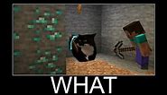 Maxwell the Cat in Minecraft wait what meme part 132