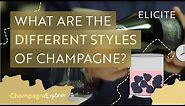 The Different Grape Varieties & Styles Of Champagne