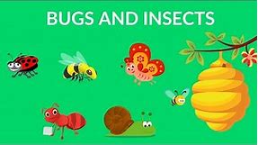 Bugs and Insects for Kindergarten, Preschool and Junior kids
