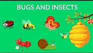 Bugs and Insects for Kindergarten, Preschool and Junior kids