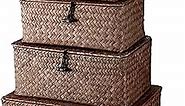 Set of 4 Seagrass Basket with Lids Rattan Wicker Storage Basket Handwoven Decorative Storage Boxes with Lids Multipurpose Woven Basket Bins for Shelf Closet (Coffee)