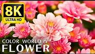 The Most Beautiful Flowers Collection 8K ULTRA HD / 8K TV - Relax With The Sounds Of Nature