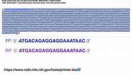 Biotechniques | Principles of Primer Design for Full Gene Amplification
